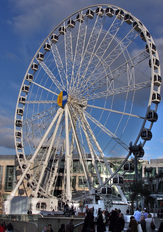 The Manchester Wheel
