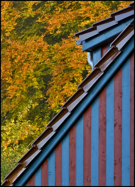 Husgavl og efterårsfarver ved Dyrehaven
