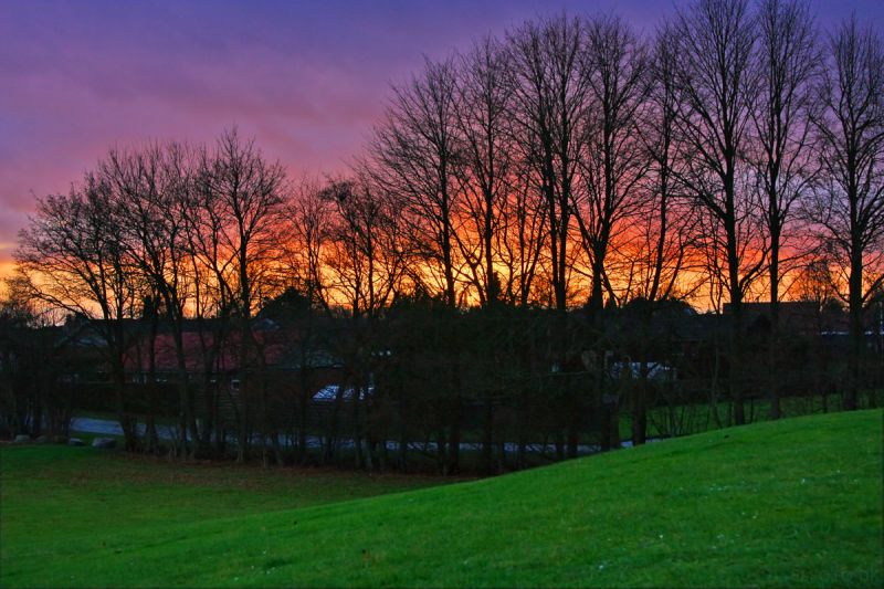 Solnedgang ved Holme-Olstrup
Billedet er en blanding af tre eksponeringer (HDR)
Keywords: solnedgang