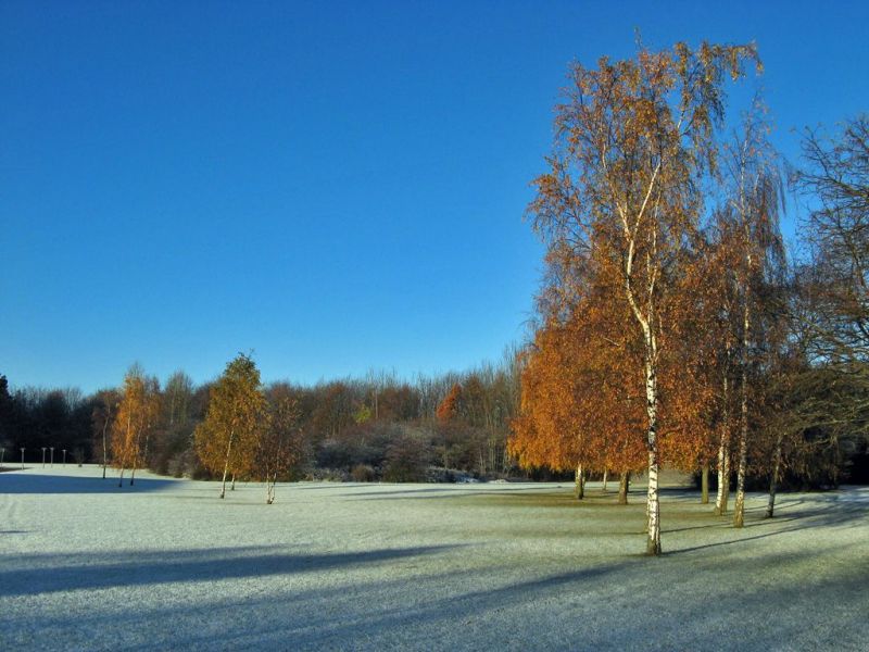 Ejby i November
Keywords: efterår vinter